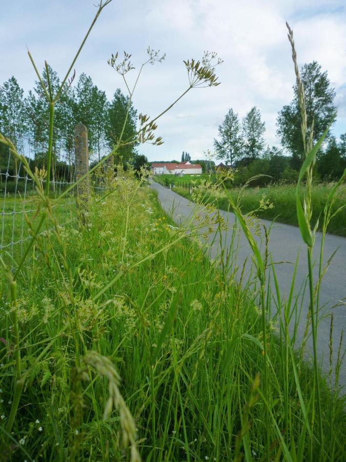Het Verblijf Sint-Martens-Lennik Eksteriør billede